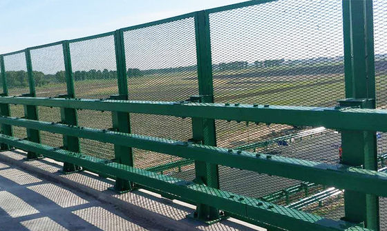 Protezione all'aperto Recinzione galvanizzata con rete rivestita Recinzione a filo spinato con barriera di controllo della folla