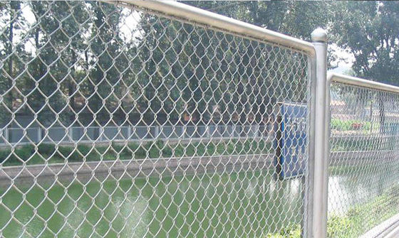 Protezione all'aperto Recinzione galvanizzata con rete rivestita Recinzione a filo spinato con barriera di controllo della folla