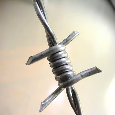 Rollo di filo spinato in acciaio inossidabile galvanizzato personalizzato personalizzato
